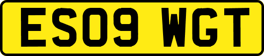 ES09WGT