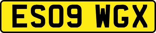 ES09WGX