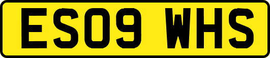 ES09WHS