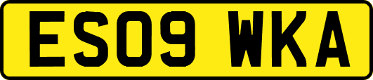 ES09WKA