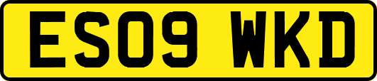 ES09WKD