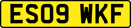 ES09WKF