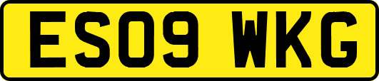 ES09WKG