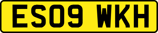 ES09WKH