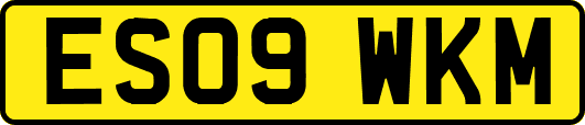 ES09WKM