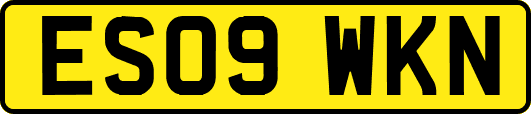ES09WKN
