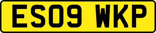ES09WKP