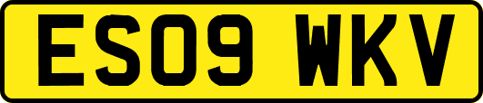 ES09WKV