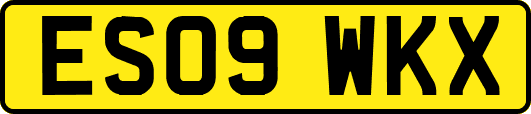 ES09WKX