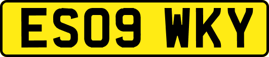 ES09WKY
