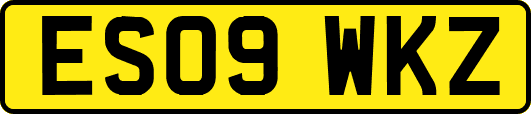 ES09WKZ