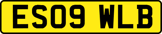 ES09WLB