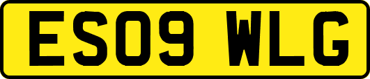 ES09WLG