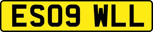 ES09WLL
