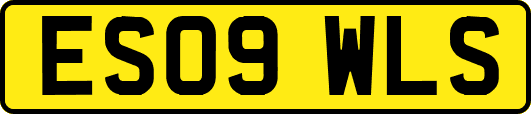 ES09WLS