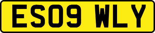 ES09WLY