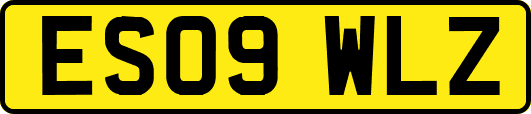 ES09WLZ
