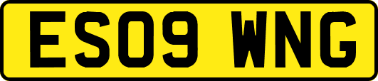 ES09WNG