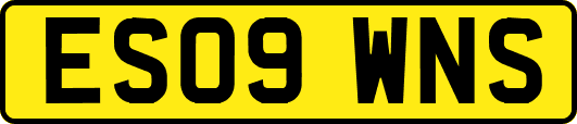 ES09WNS