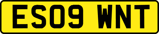 ES09WNT