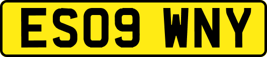 ES09WNY