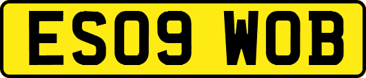 ES09WOB