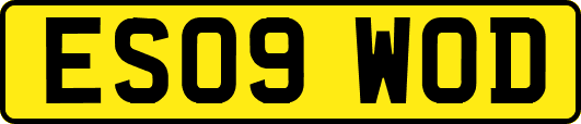 ES09WOD