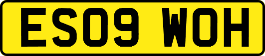 ES09WOH