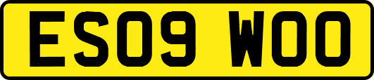 ES09WOO