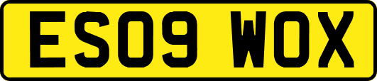 ES09WOX