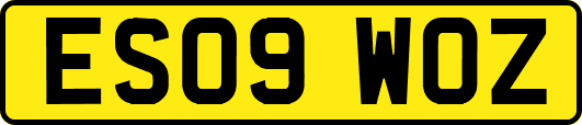 ES09WOZ