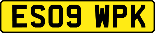 ES09WPK