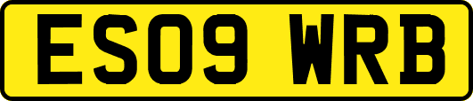 ES09WRB