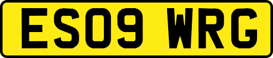 ES09WRG