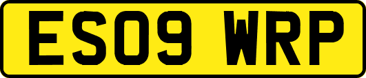 ES09WRP