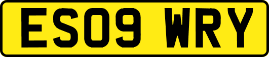 ES09WRY