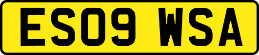 ES09WSA