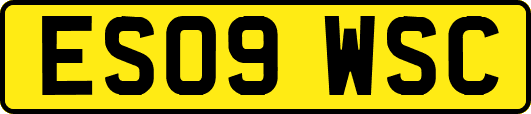 ES09WSC