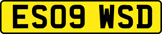 ES09WSD