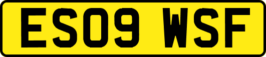 ES09WSF