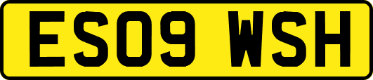 ES09WSH