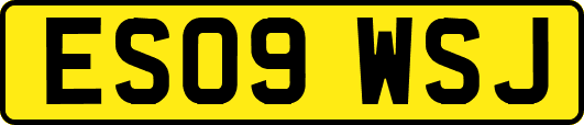 ES09WSJ