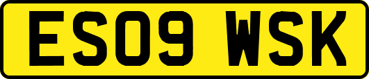 ES09WSK