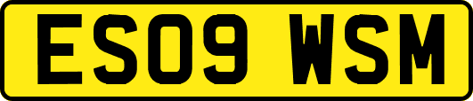 ES09WSM