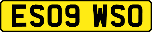 ES09WSO