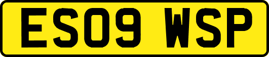 ES09WSP