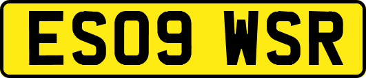 ES09WSR