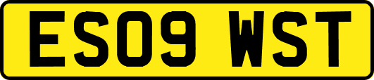 ES09WST