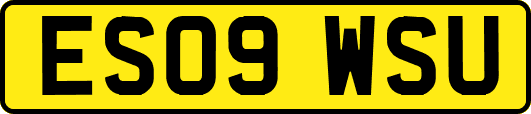 ES09WSU