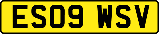 ES09WSV